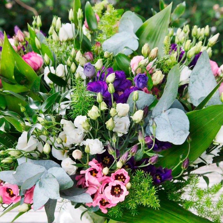 Minilisi® Mix Lisianthus Flower Seeds