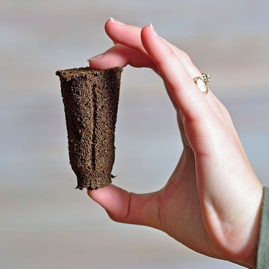 40 Pack Refill Sponges for the 40-cell Planting Block