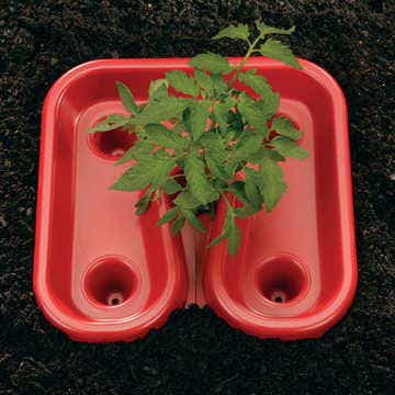 Red Tomato Automator Tray - Set of 3