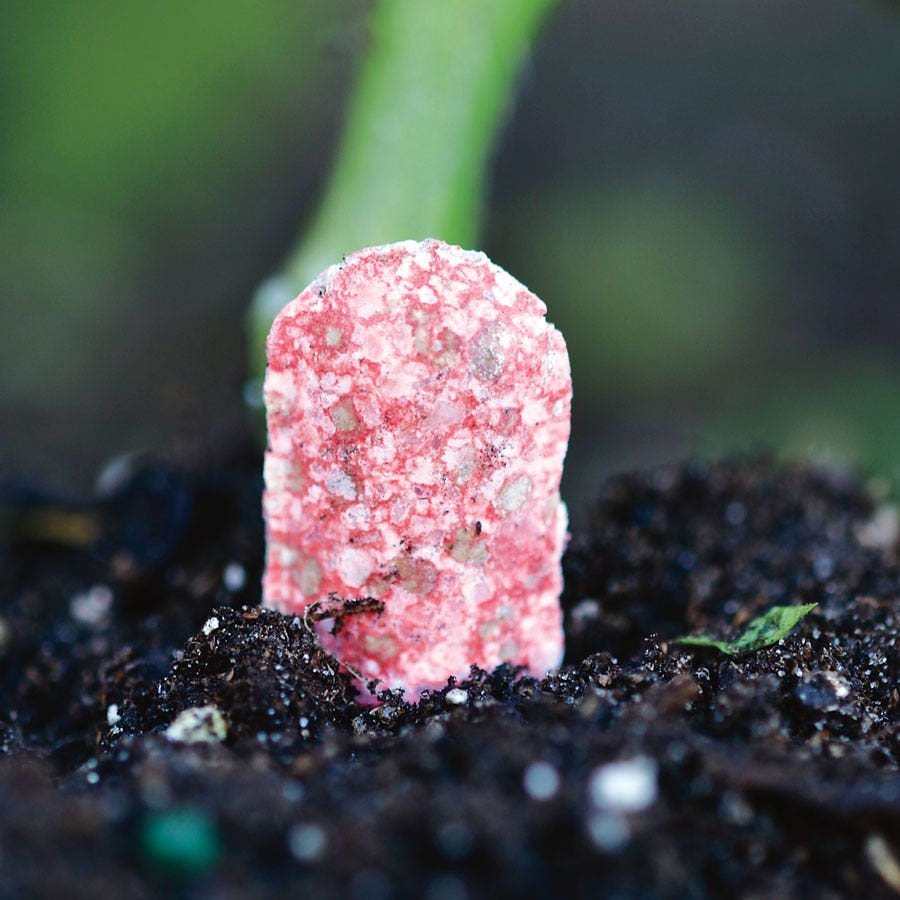 Tomato Fertilizer Spikes