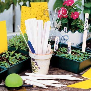 White Birch Plant Tags