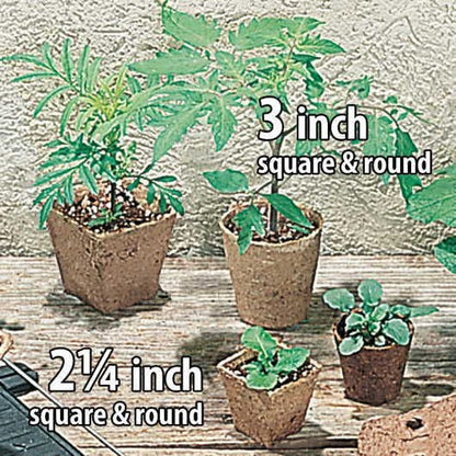 Jiffypots® Square Biodegradable (Pack of 100)