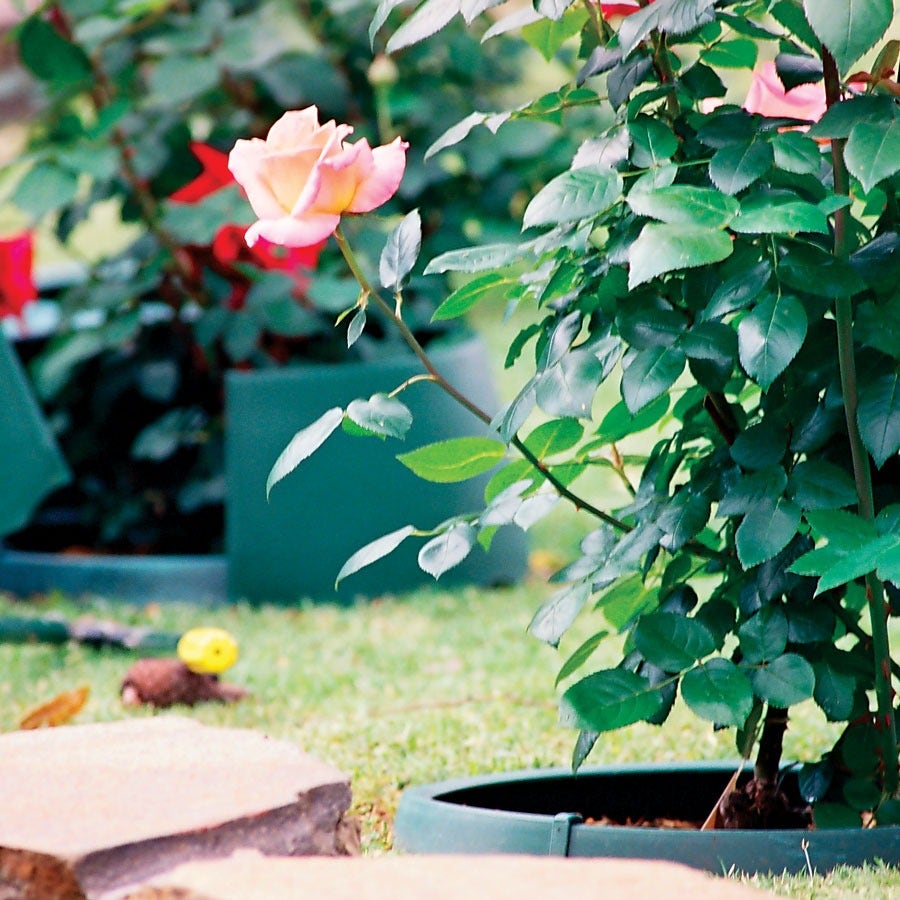 Greenwell™ Water Saver