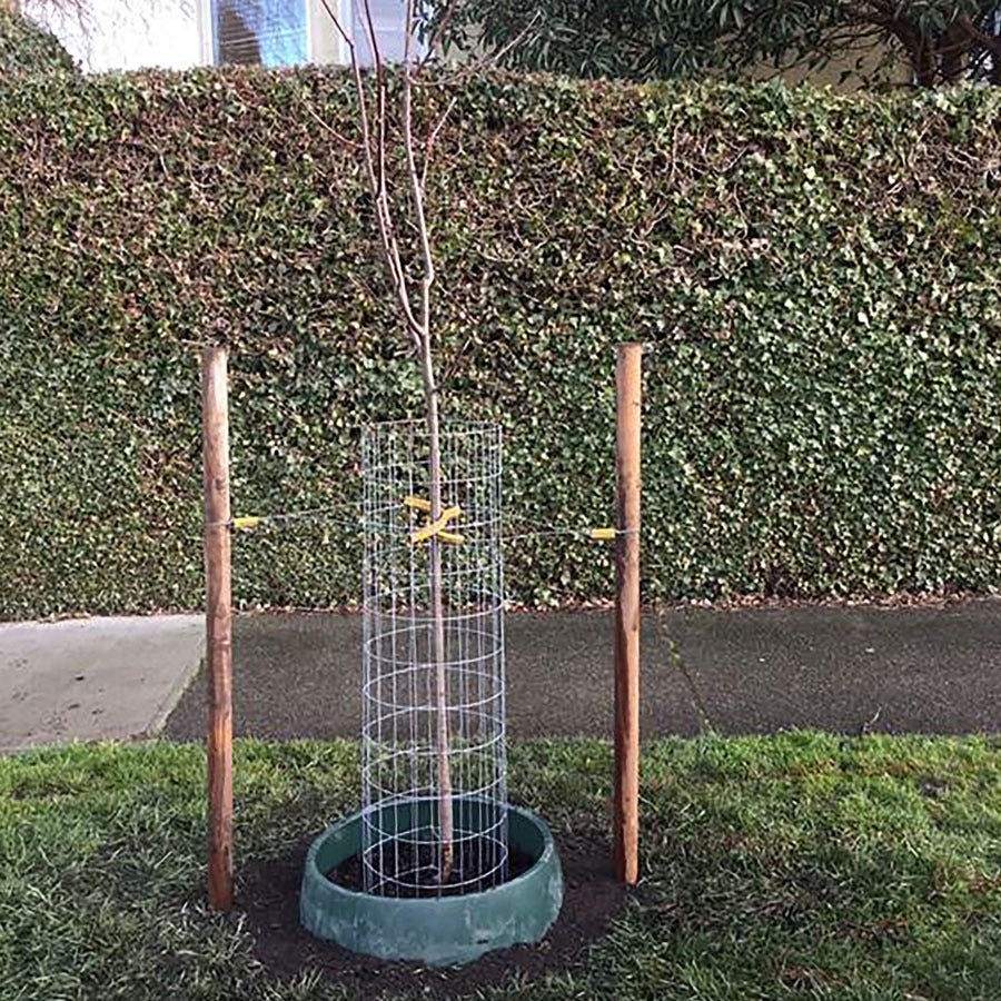 Greenwell™ Water Saver
