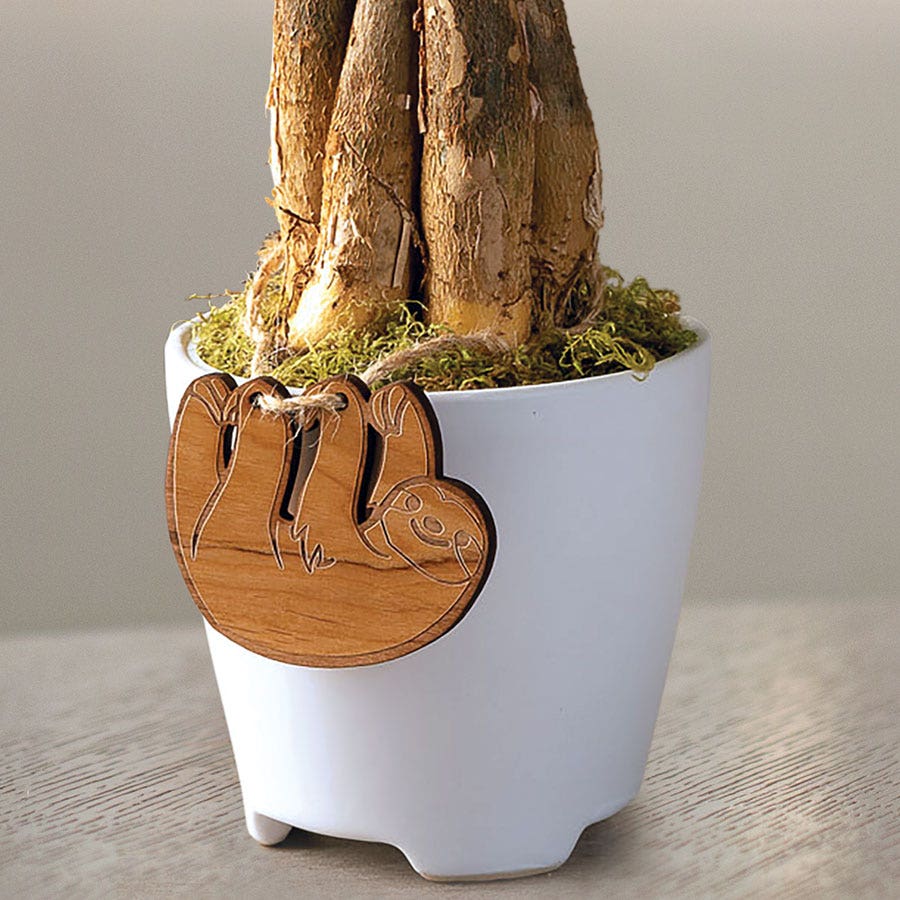 Money Tree