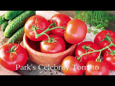 Park Seed Tomato Cages