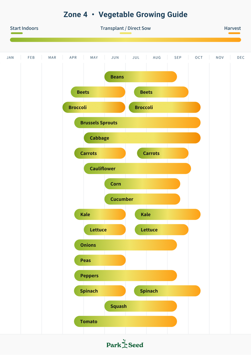 Zone 4 Planting Schedule