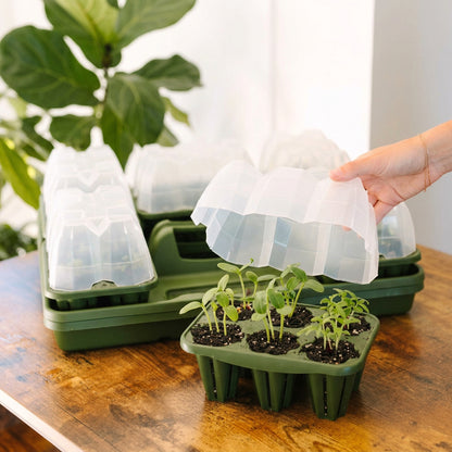 GreenStalk Seed Starting Kit