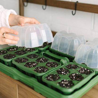 GreenStalk Seed Starting Kit