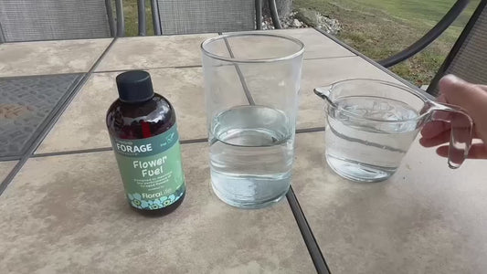 Oasis® Forage Products™ Flower Fuel 8oz-  Step 2 Feed