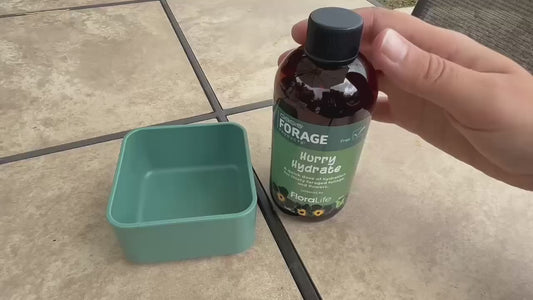 Oasis® Forage Products™ Hurry Hydrate 8oz- Step 1 Prep