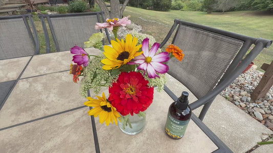 Oasis® Forage Products™ Finishing Spritz  8oz-  Step 3 Preserve