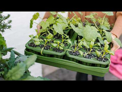GreenStalk Seed Starting Kit