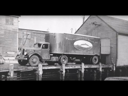 Neptune's Harvest Organic Hydrolyzed Fish (2-4-1) Fertilizer 36 oz.