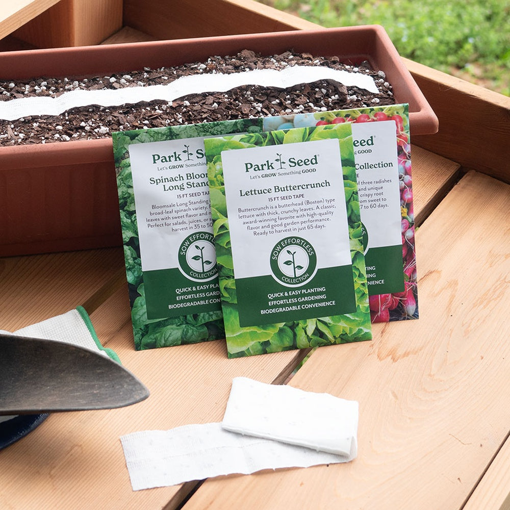 Sow Effortless Collection™ Bloomsdale Long Standing Spinach Seed Tape