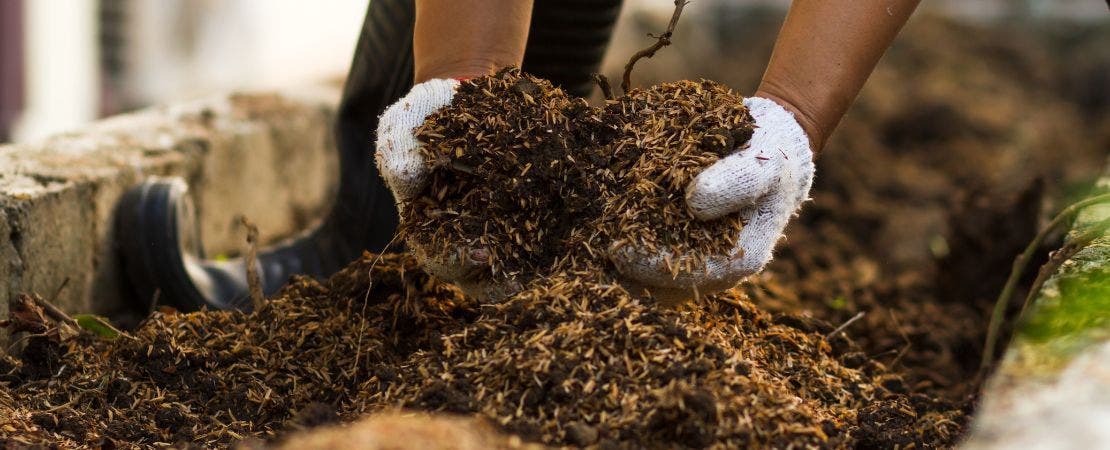 Amending Your Garden Soil in the Fall