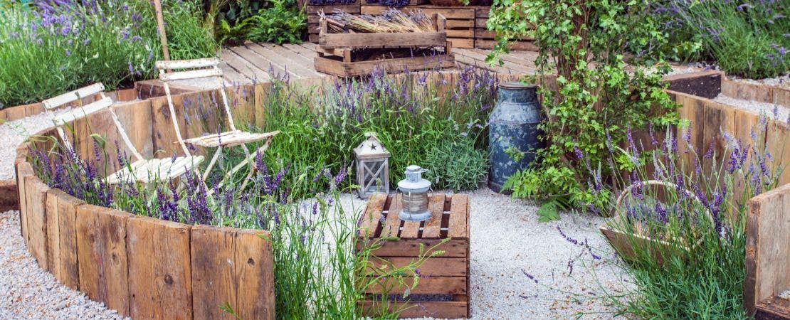 How to Grow a Mini Meadow Garden