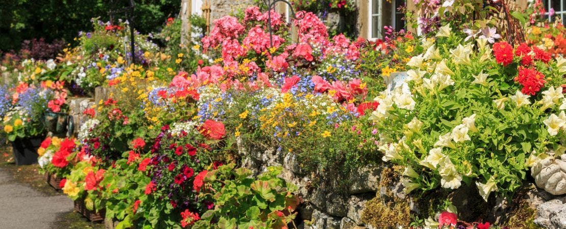 9 Mother's Day Gardening Gifts That Say "I Love You"—and Ship Fast