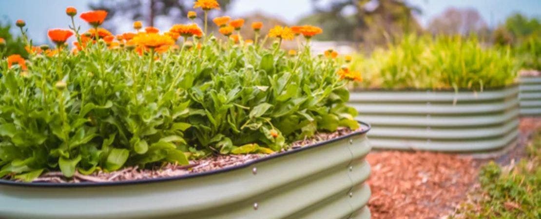 8 Raised Bed Trough Garden Ideas to Try This Spring