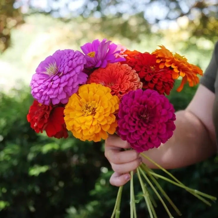 Best Selling Flower Seeds