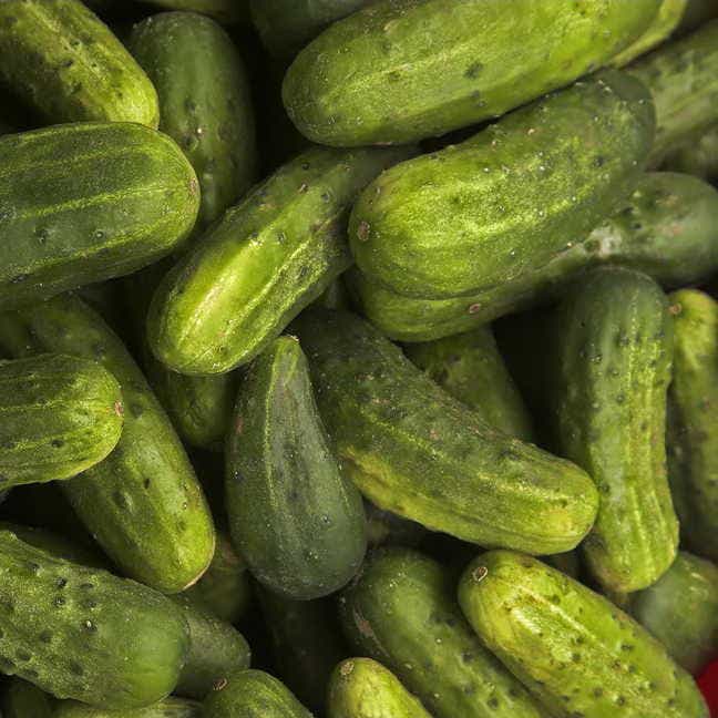 Cucumber Seeds