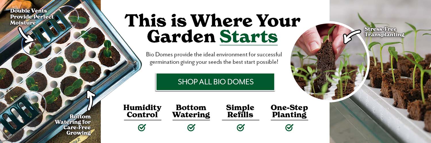 Homegrown Starts in the Bio Dome