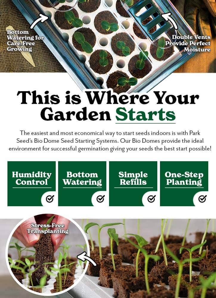 Homegrown Starts in the Bio Dome