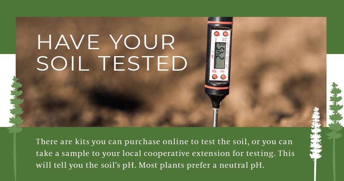 soil test