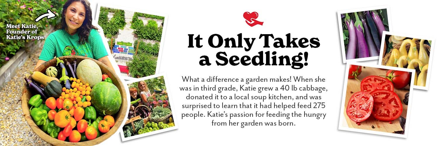 Katie's Krops: It Only Takes a Seedling!