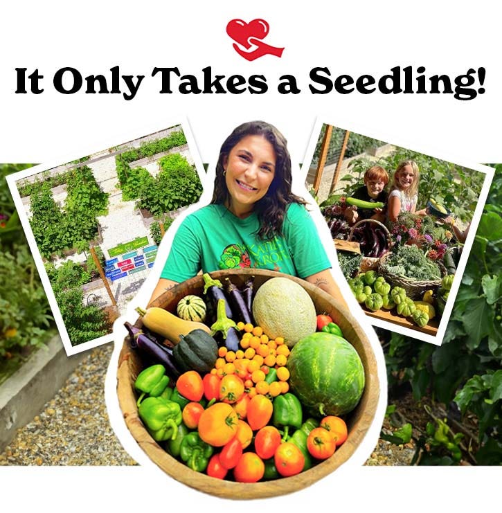 Katie's Krops: It Only Takes a Seedling!