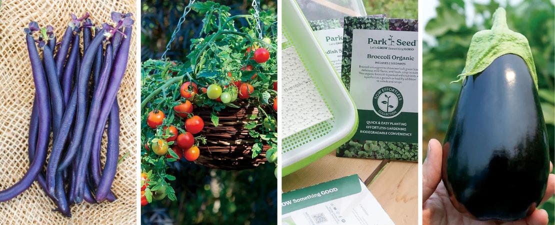 new vegetables for 2025