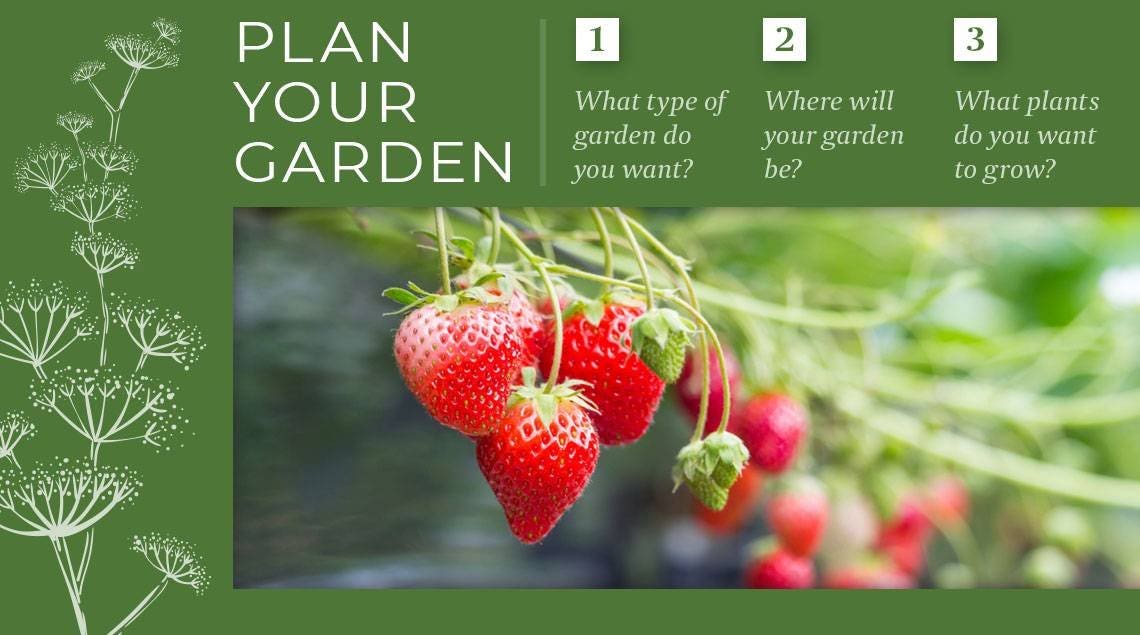 plan your garden graphic