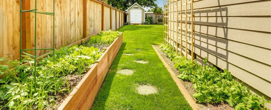 raised bed and wall planters in side yard