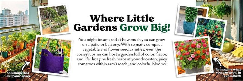 Small Space Gardening: Where Little Gardens Grow Big!