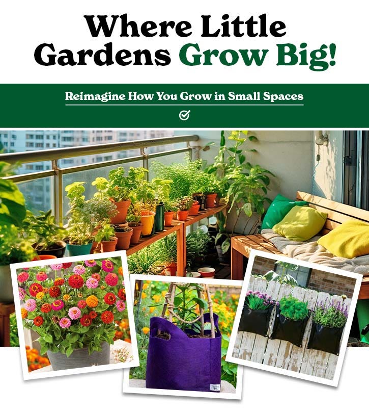 Small Space Gardening: Where Little Gardens Grow Big!