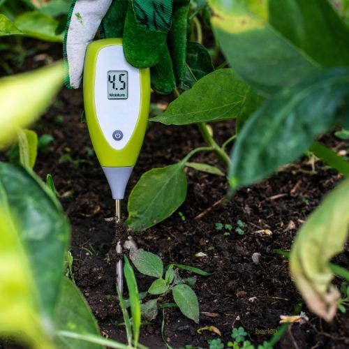 soil testing in garden