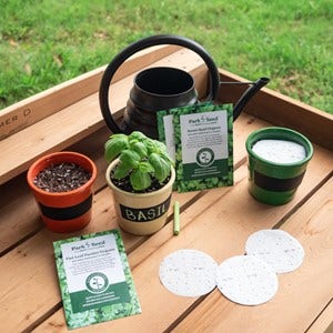 using small seed discs to grow herbs