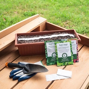 seed tape in small, rectangluar container garden